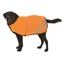 Benji and Flo Reflector Waterproof Dog Coat - Orange