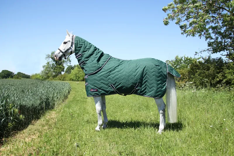DefenceX System 100g Stable Rug With Detachable Neck Cover - Green