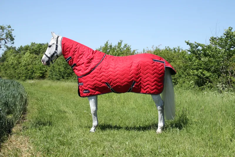 DefenceX System 200g Stable Rug With Detachable Neck Cover - Dark Red