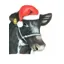Kevin Milner Christmas Cards - Christmas Shorthorn Cow