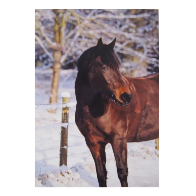 Kevin Milner Christmas Cards - Bay Horse in the Snow