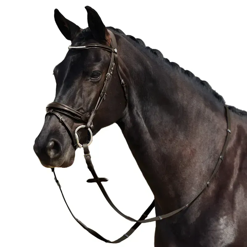 Dublin Padded Mono Crown Patent Flash Bridle - Brown