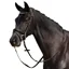Dublin Padded Mono Crown Patent Flash Bridle - Brown