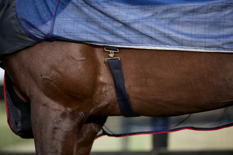 WeatherBeeta Breeze with Surcingle IV Combo Neck Fly Rug - White/Navy/Red-3