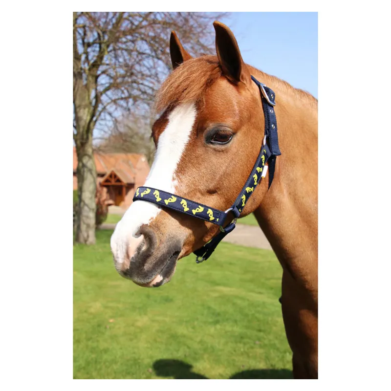 Lancelot Head Collar and Lead Rope by Little Knight - Navy/Yellow-1