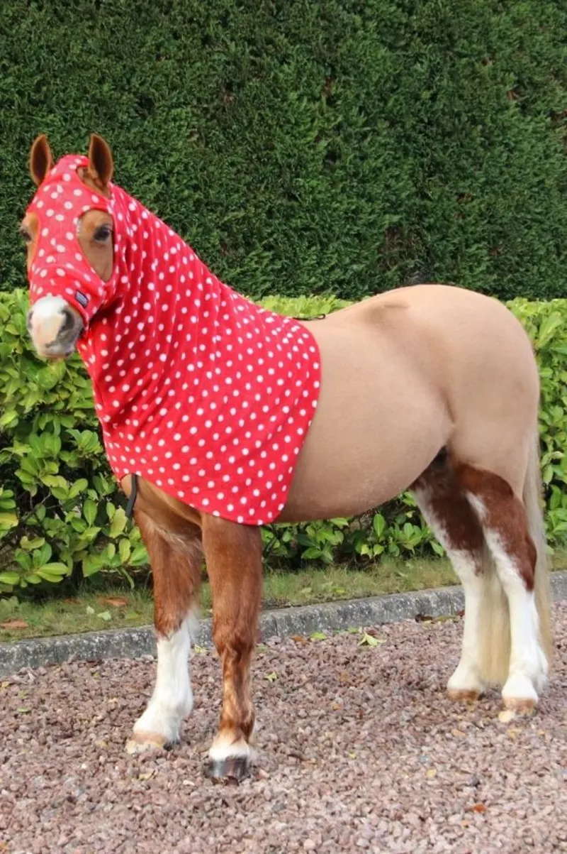 Supreme Products Dotty Fleece Hood - Rosette Red