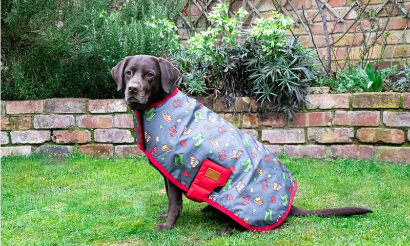 Benji and Flo Country Walks Dog Coat - Burgundy/Grey-1