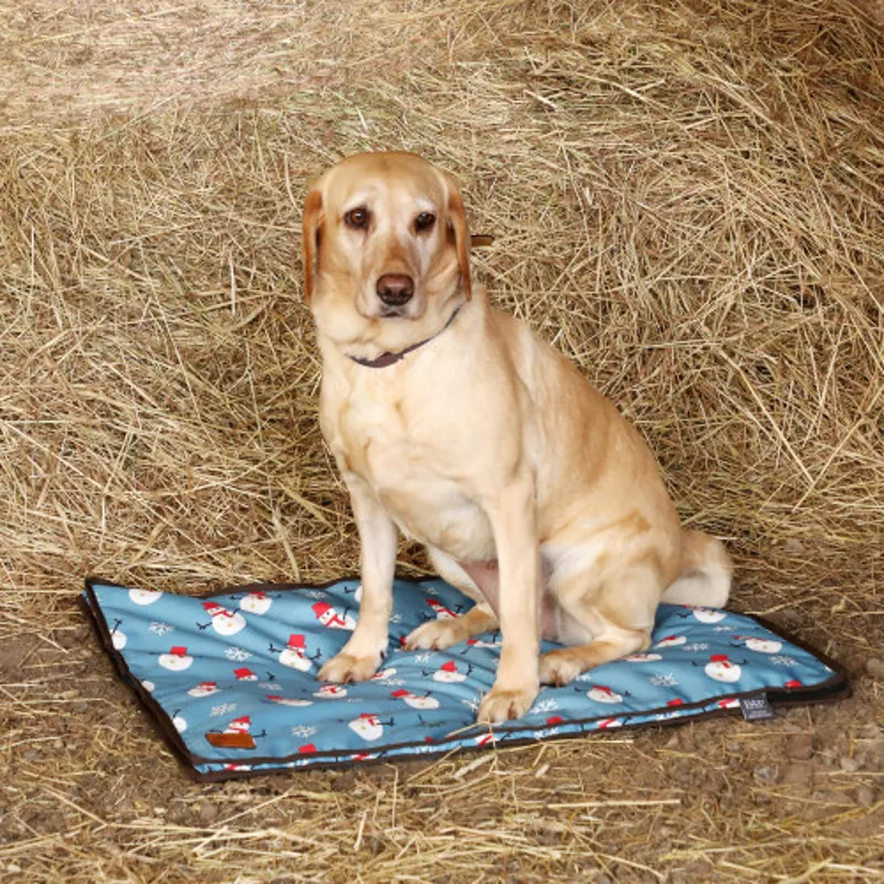 Benji and Flo Snowy The Snowman Dog Bed - Ice Blue/Chocolate