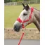 Supreme Products Dotty Fleece Head Collar and Lead Rope - Rosette Red