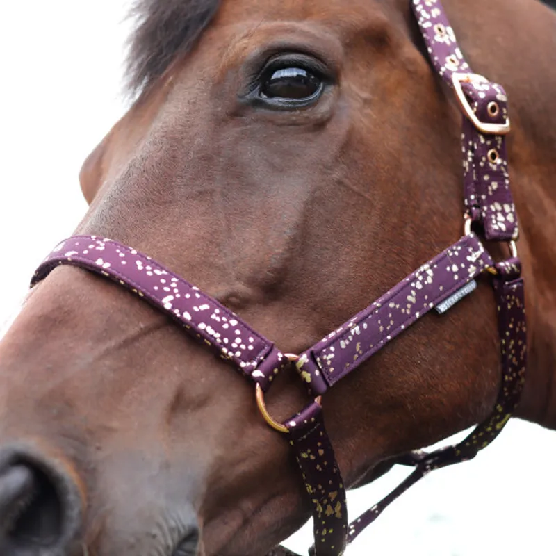Hy Equestrian Enchanted Head Collar and Lead Rope - Plum/Rose Gold-2
