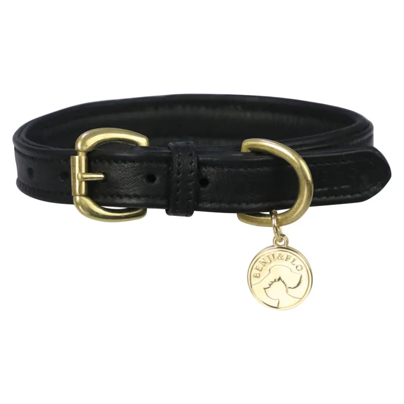 Benji and Flo Deluxe Padded Leather Dog Collar - Black/Brass