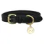 Benji and Flo Deluxe Padded Leather Dog Collar - Black/Brass