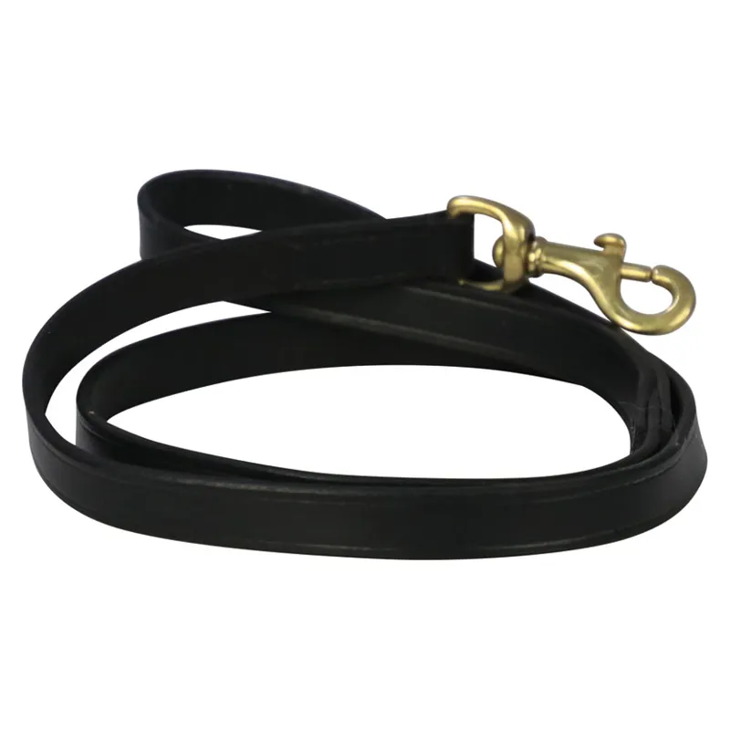 Benji and Flo Deluxe Padded Leather Dog Lead - Black/Brass