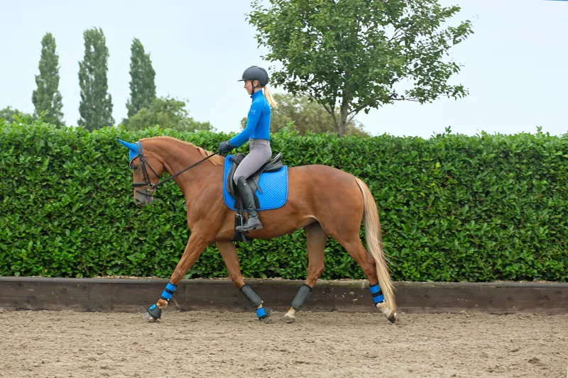 Hy Sport Active Dressage Saddle Pad - Jewel Blue-1
