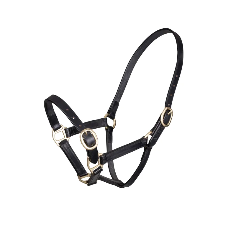 Shires Velociti GARA Adjustable Leather Foal Headcollar - Black