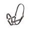 Shires Velociti GARA Adjustable Leather Foal Headcollar - Havana