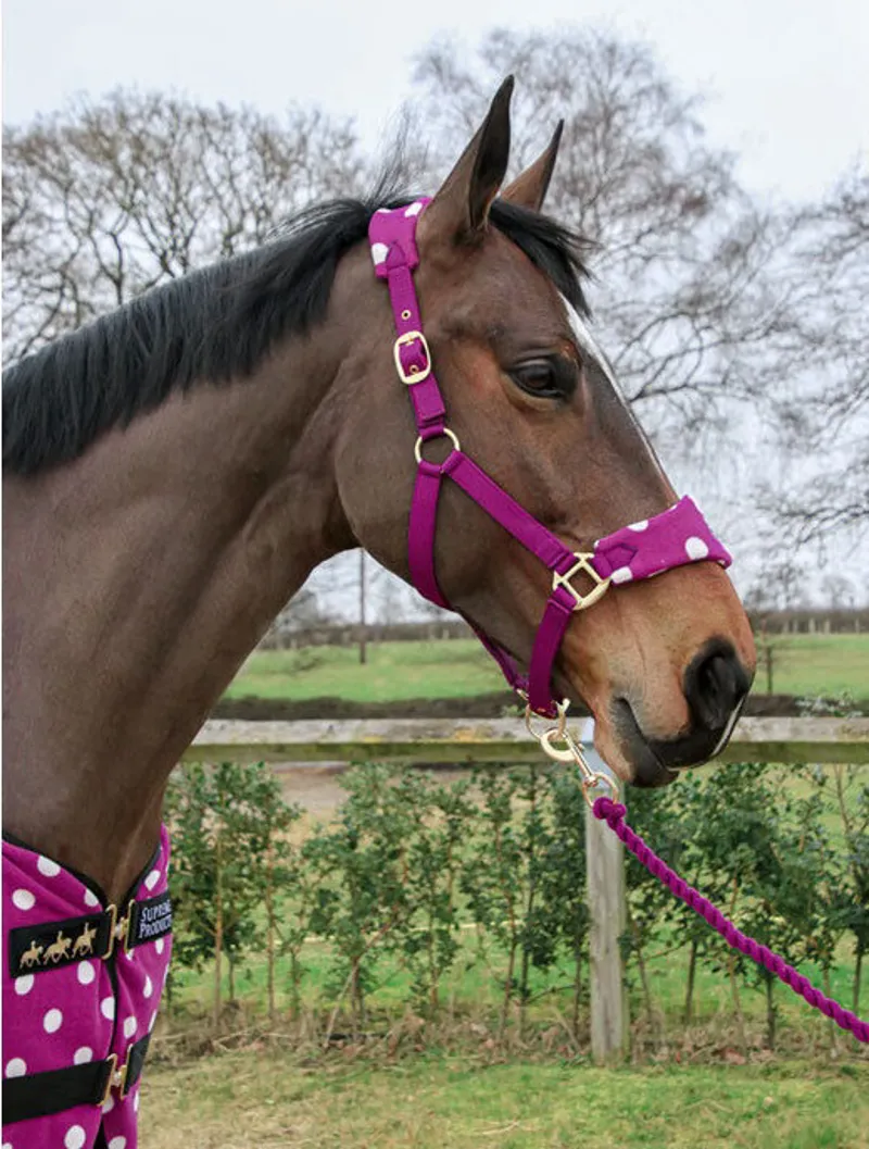 Supreme Products Dotty Fleece Head Collar and Lead Rope - Magical Mulberry