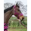 Supreme Products Dotty Fleece Head Collar and Lead Rope - Magical Mulberry
