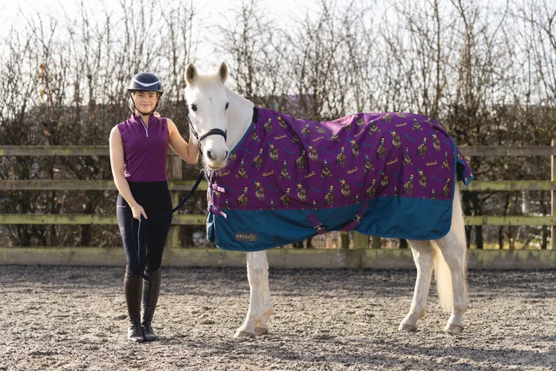 StormX Original 100g Turnout Rug Thelwell Pony Friends - Imperial Purple