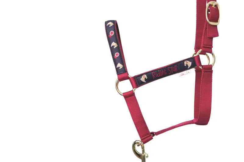 Little Rider Riding Star Collection Head Collar and Lead Rope Set - Navy/Burgundy-1