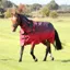 Shires Tempest Original 100g Combo Turnout Rug - Red Skeleton
