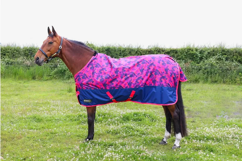 StormX Original DynaForce 100g Turnout Rug - Raspberry/Navy