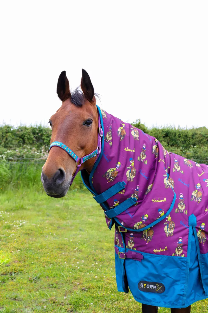 Hy Equestrian Thelwell Collection Pony and Friends Head Collar and Lead Rope - Purple/Blue-2