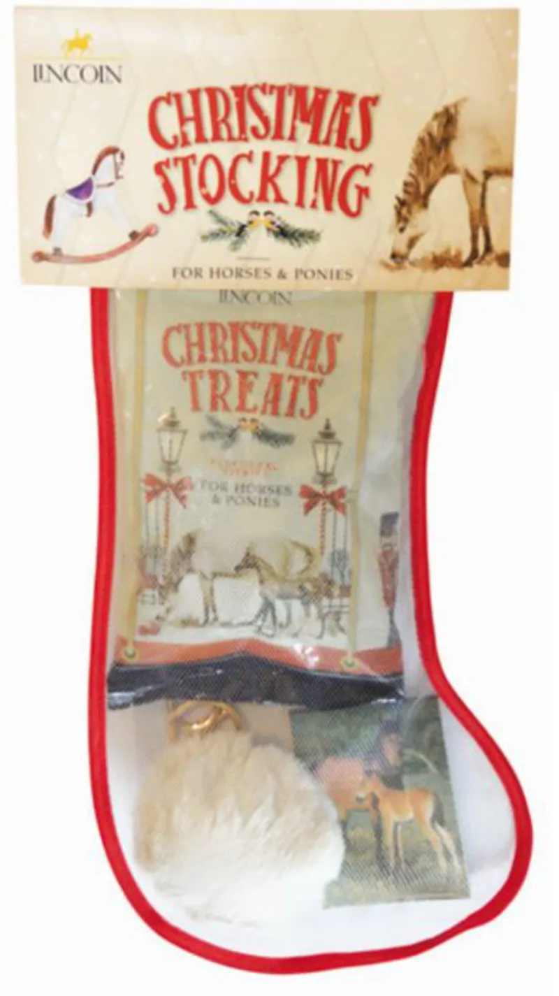 Lincoln Pony Mad Stocking
