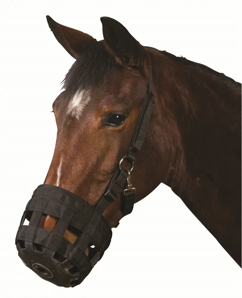Roma Grazing Muzzle - Black