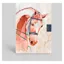 Deckled Edge Notebook - Competition Horse