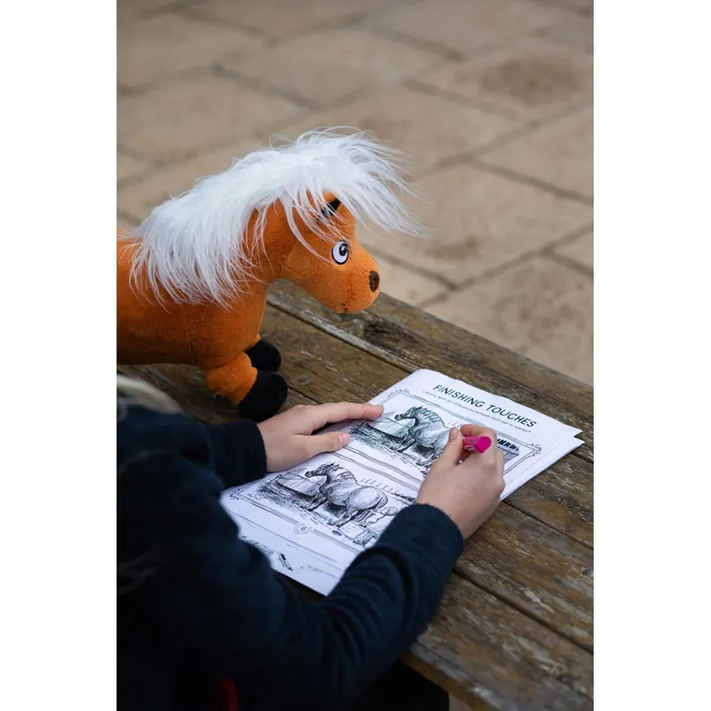 Hy Equestrian Thelwell Collection Activity Book - A4-1