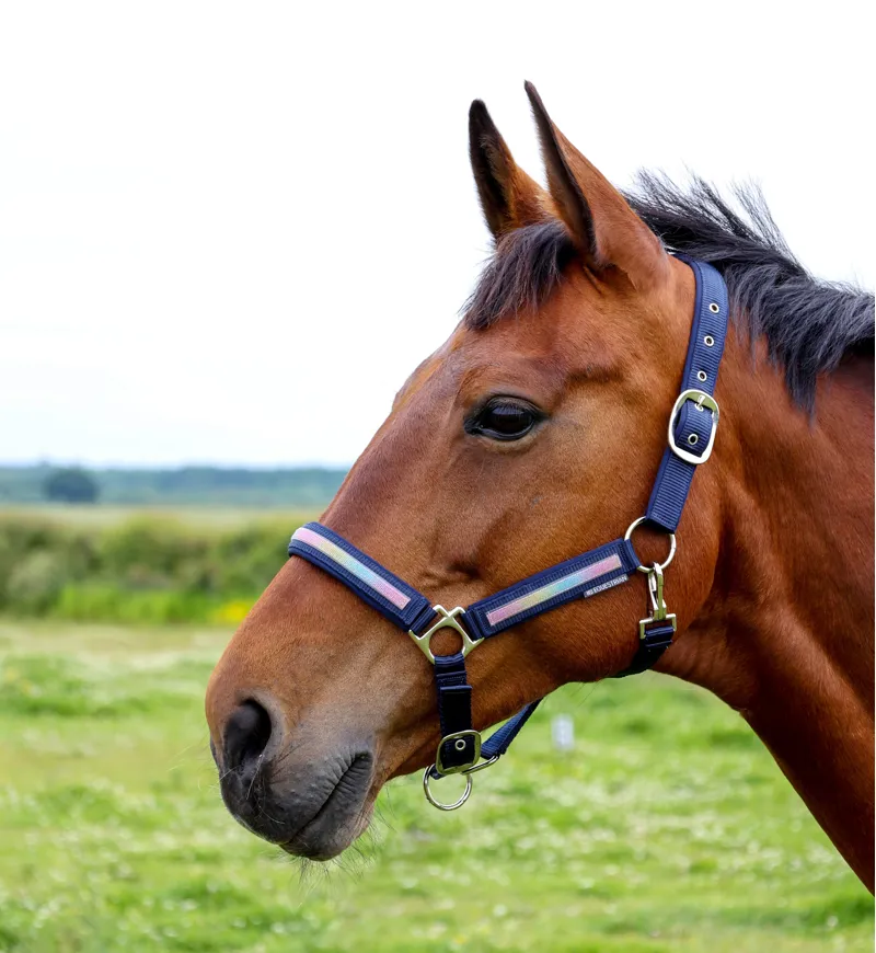 Hy Equestrian Mystic Head Collar - Navy/Rainbow Dust-1