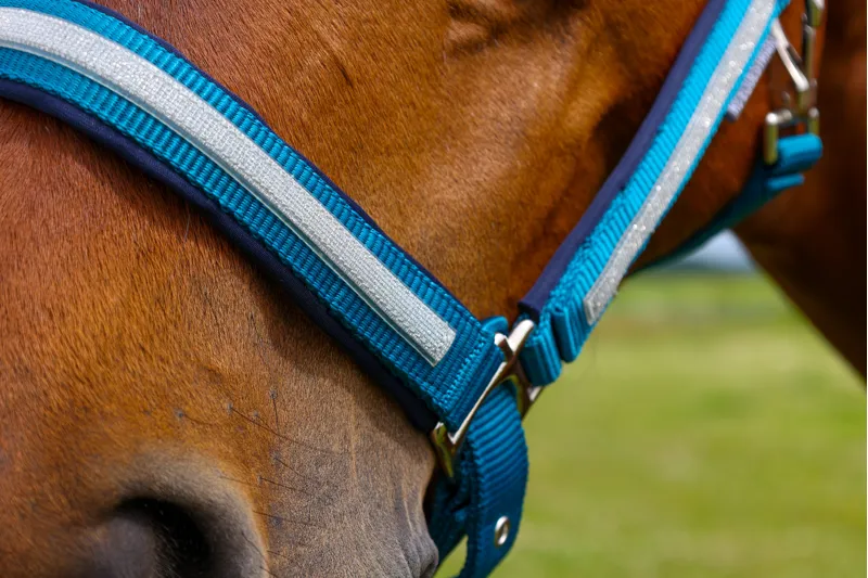 Hy Equestrian Mystic Head Collar - Teal/Silver Dust-2