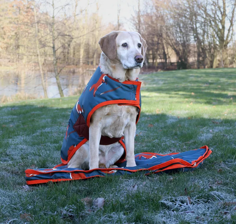 Benji and Flo Frivolous Fox Dog Coat - Green/Red/Pumpkin-2