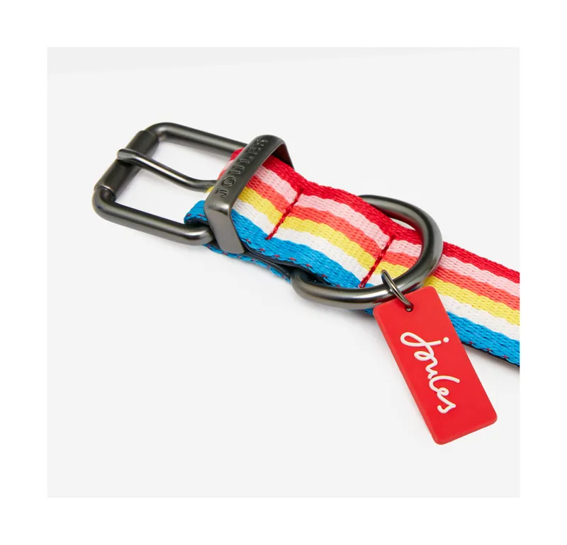 Joules Rainbow Stripe Dog Collar - Small-4