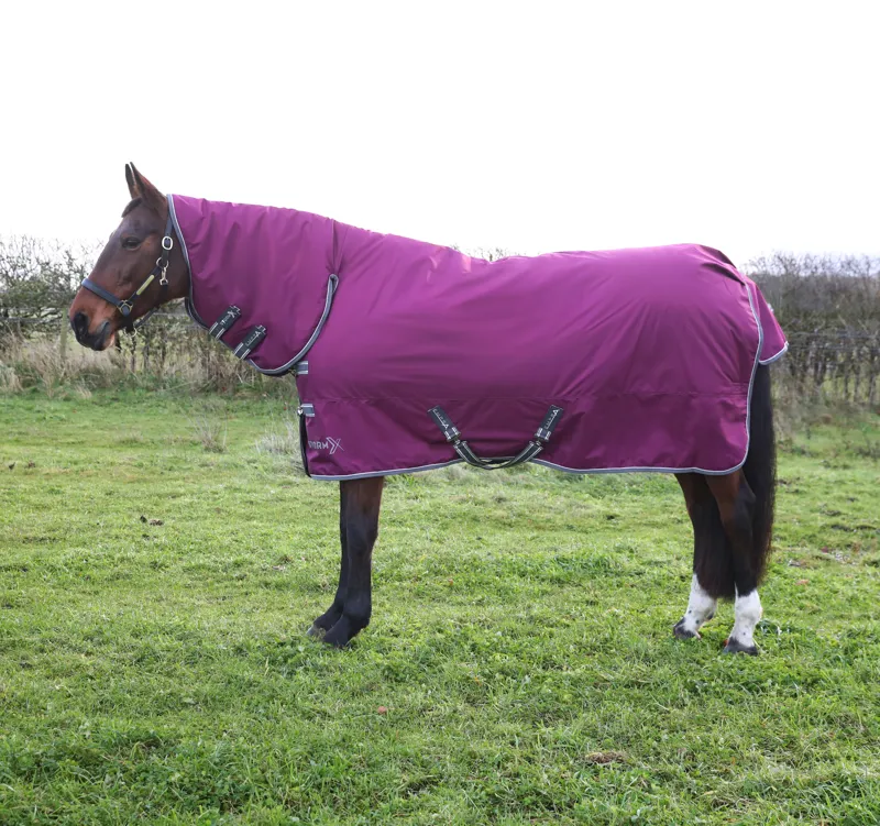 StormX Empra 200g Combi Turnout Rug - Purple