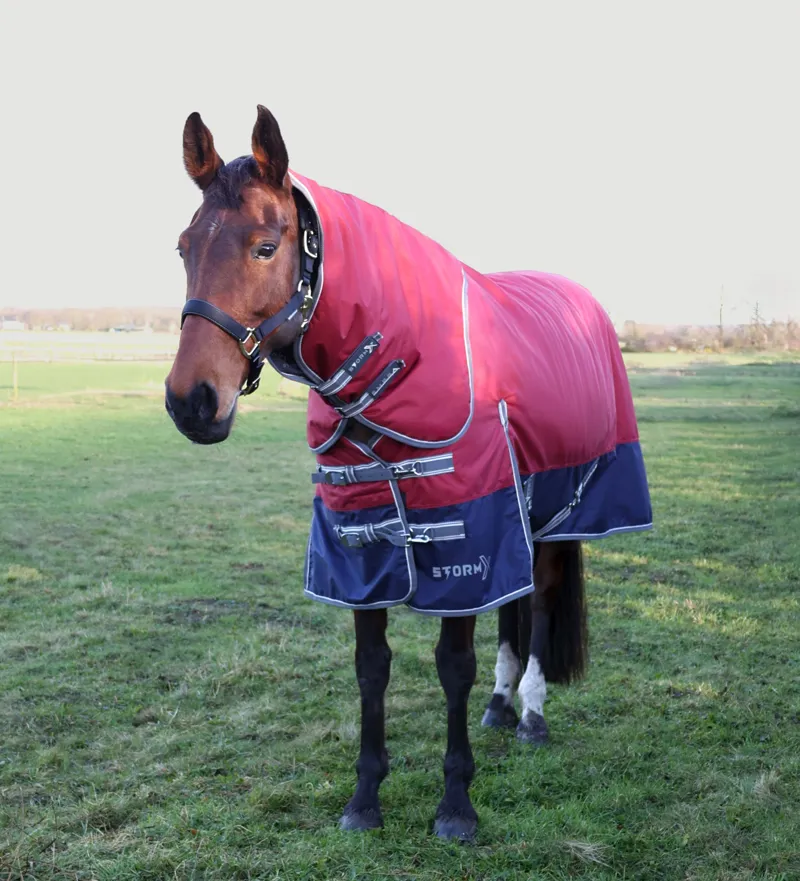 StormX Empra 200g Turnout Rug with Detachable Neck - Burgundy-1