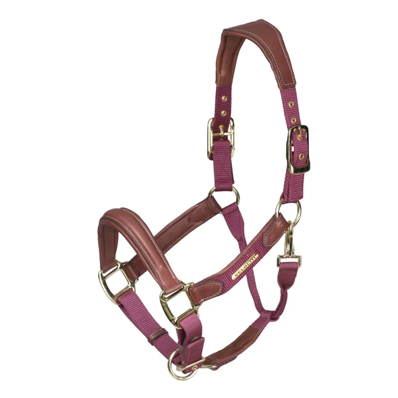Shires Velociti Lusso Padded Leather Headcollar - Burgundy - Full - Unboxed