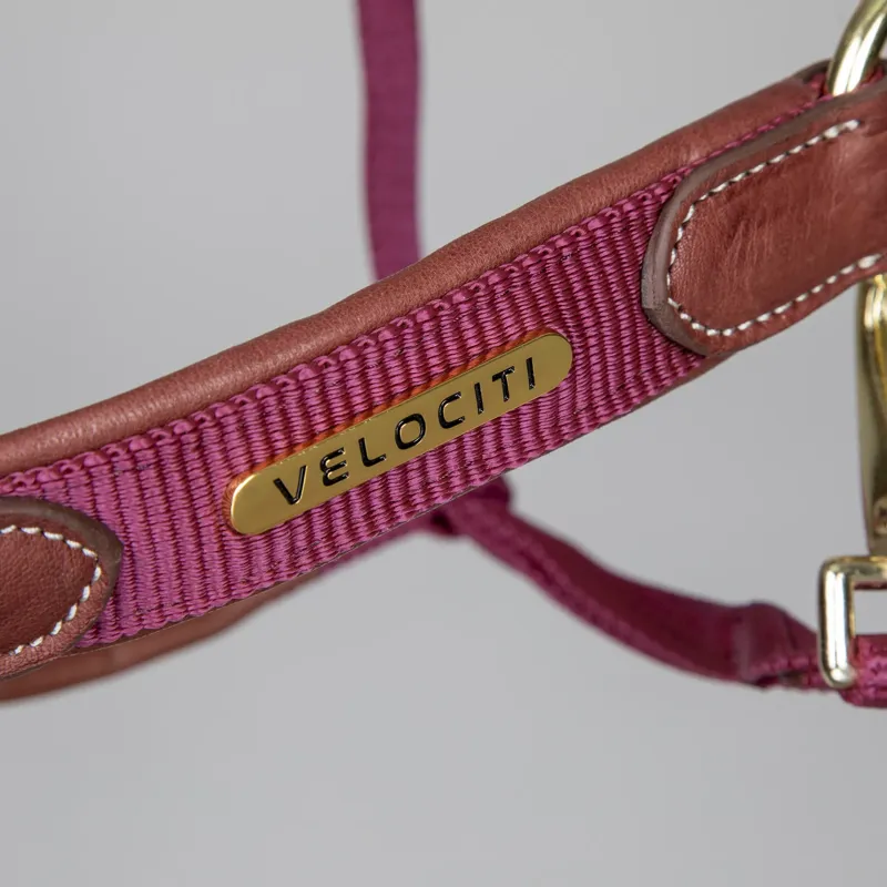 Shires Velociti Lusso Padded Leather Headcollar - Burgundy - Full - Unboxed-2
