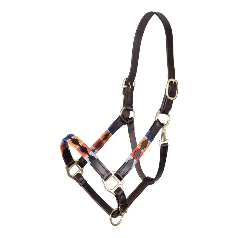 Shires Velociti GARA Leather Polo Headcollar - Turq/Red/Orange/Blue