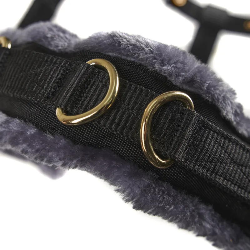 Shires Fleece Lined Lunge Cavesson - Black-2