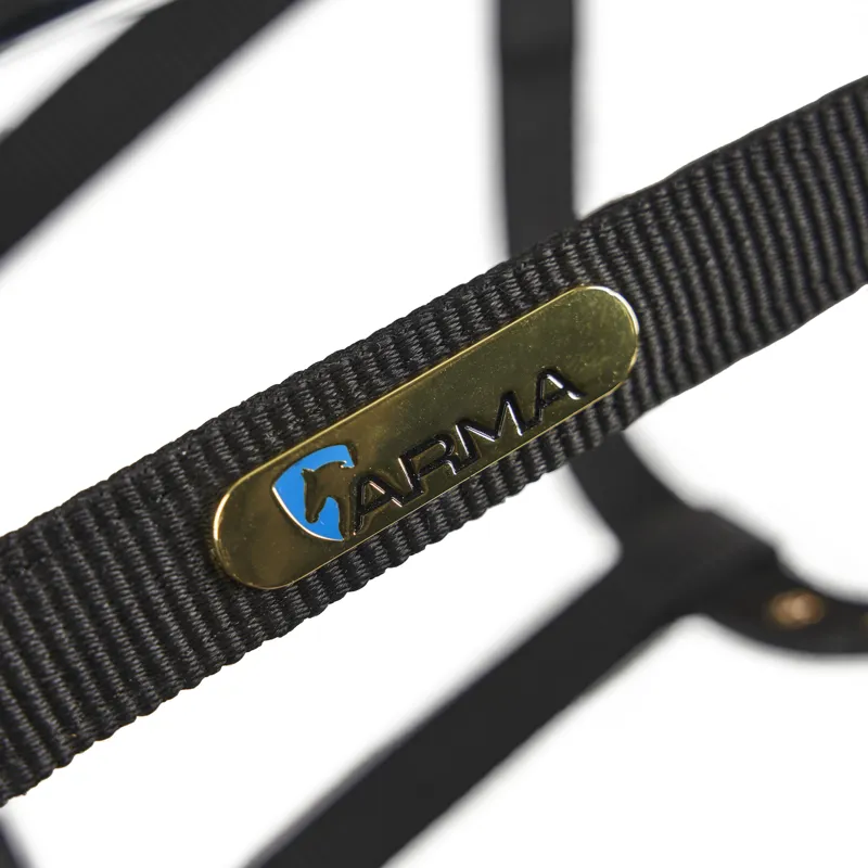 Shires Fleece Lined Lunge Cavesson - Black-4