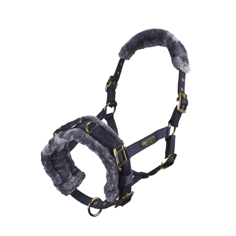 Lunging & Training Aids