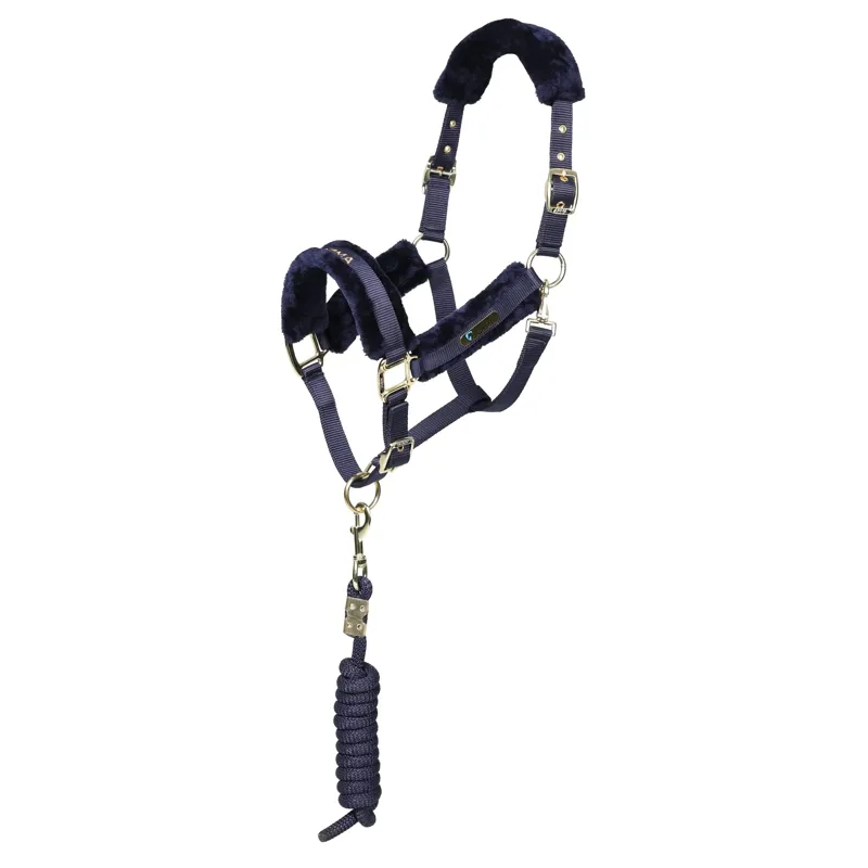 Shires ARMA Logo Headcollar and Lead Rope - Navy - Cob - Unboxed