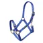 Shires ARMA Adjustable Headcollar - Blue