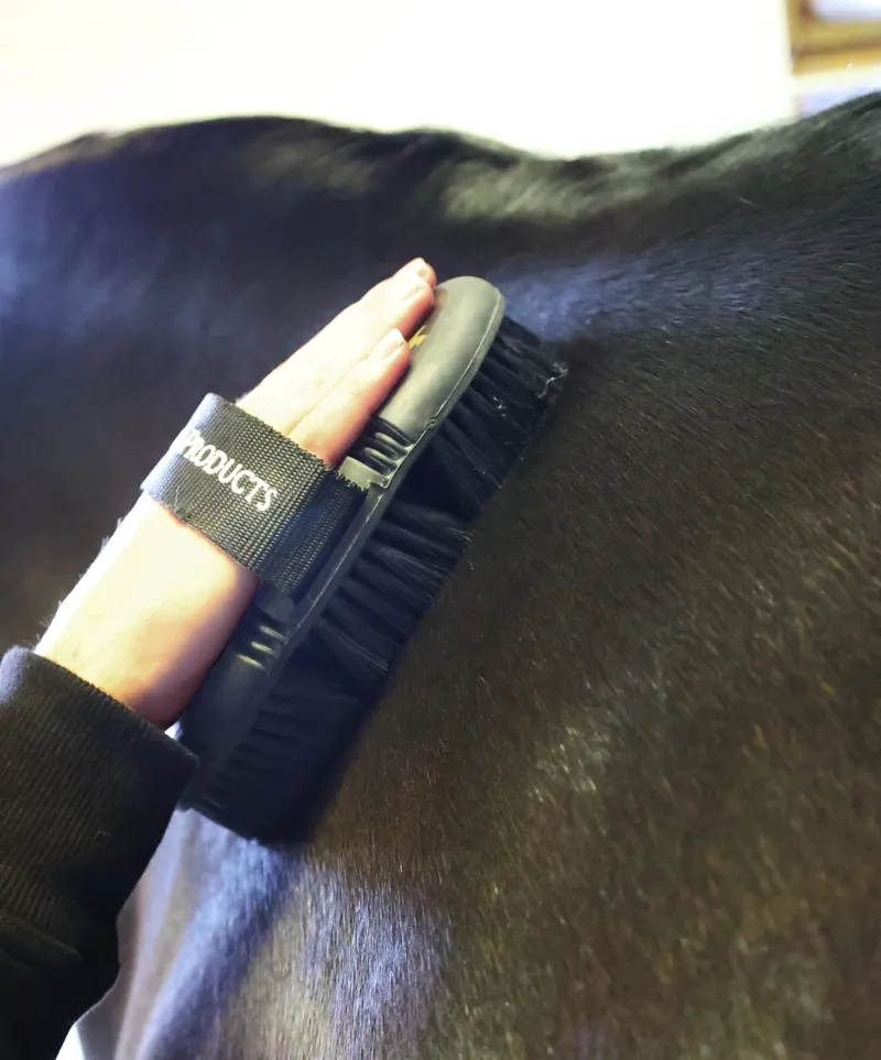 Supreme Products Pro Groom Body Brush - Black/Gold-1