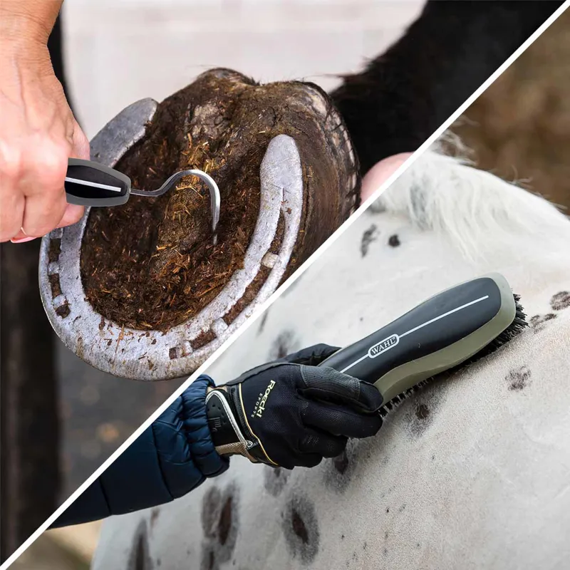 Lister Agri Star Promo Kit-5