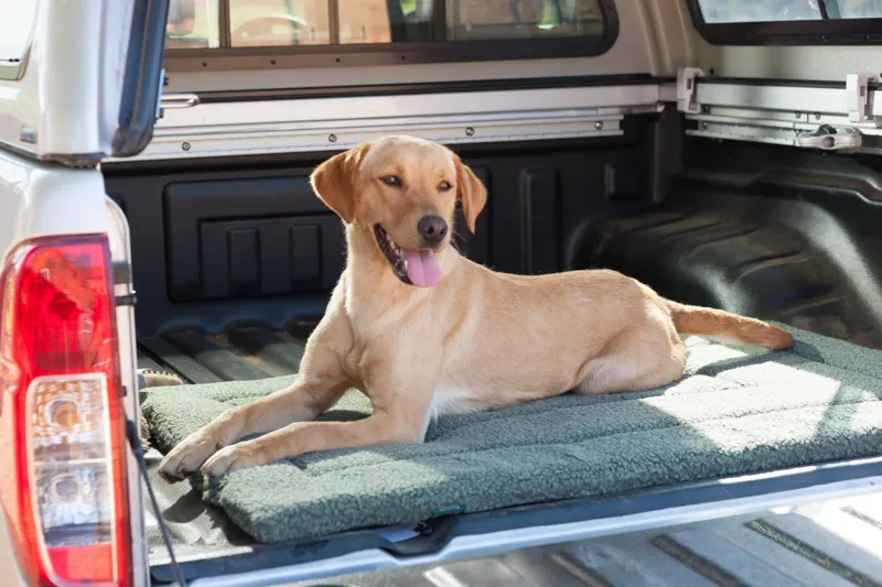 House of Paws Berber Crate Mat - Moss-1