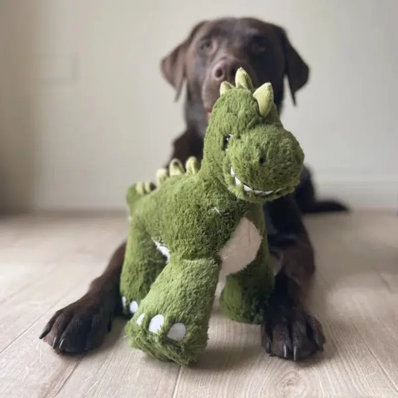 House of Paws Big Paws Toy - Dinosaur-1