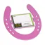 Stubbs Horseshoe Nameplate - Pink